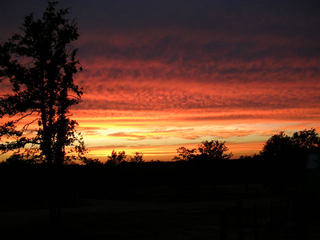 sunset.jpg